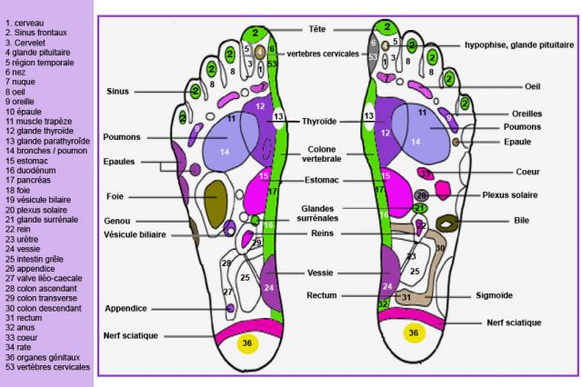 carte-reflexologie-plantaire-1.jpg